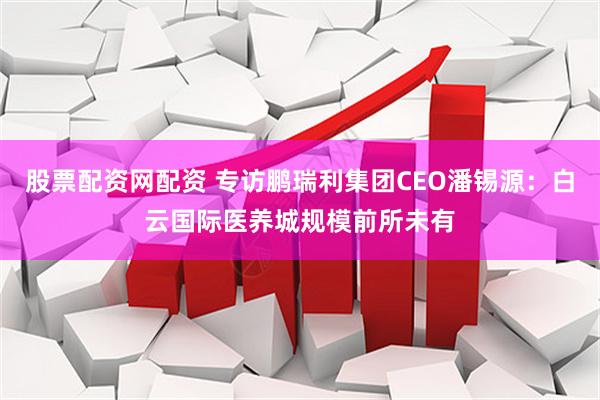 股票配资网配资 专访鹏瑞利集团CEO潘锡源：白云国际医养城规模前所未有